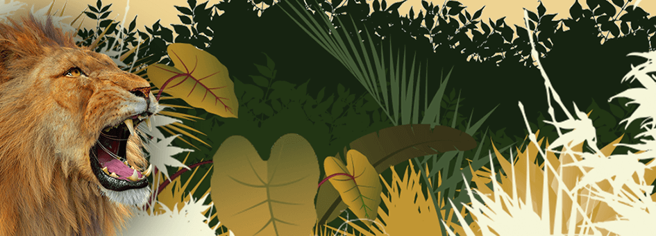 Casimba Casino Casimba Casino Welcome bonus Up To $6500 + 125 Free Spins