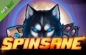 Spinsane slot machine