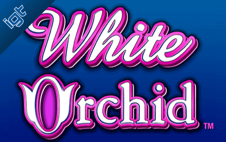 White Orchid slot