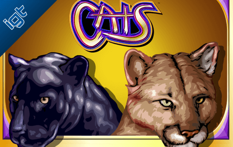Cats slot by IGT Cats slot by IGT